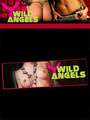 Wild Angels, Sex-Studio
