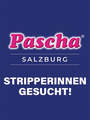 NEUERFFNUNG - Nightclub/Laufhaus/Tabledance Pascha sucht
